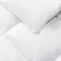 Cjelogodišnji poplun od paperja i perja 140x200 bijeli 5 cm Donsveren