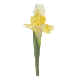 Ukrasni cvijet tulipana od nježne i svilenkaste tkanine 330 70 cm žuti