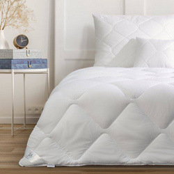 Antialergijski jastuk 70x90 s punjenjem od elastičnih poliesterskih vlakana SILVER COLLECTION