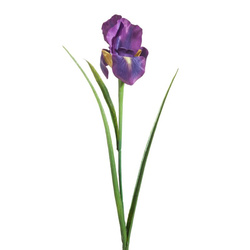 Ukrasni cvijet tulipana od nježne i svilenkaste tkanine 381 61 cm ljubičasti