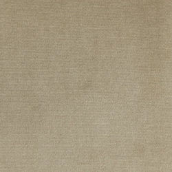 Zavjesa s vezicom za pričvršćivanje od glatkog baršuna 140x270 Antara svijetlo bež boja