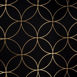 Blackout zavjesa za zamračivanje s geometrijskim zlatnim tiskom 135x250 Adonis