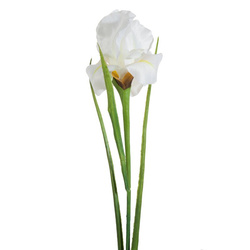 Ukrasni cvijet tulipana od nježne i svilenkaste tkanine 381 61 cm krem