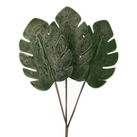 ZELENA