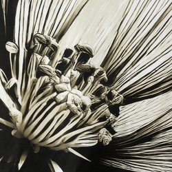 Posteljina 140x200 cm od pamučnog satena s cvjetnim uzorkom SPRING