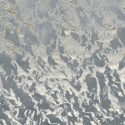 Tamno siva, zlatna zavjesa sa sjajnim printom od baršunaste tkanine 140x250 DORIS