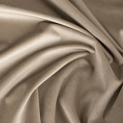 Zavjesa od mekanog baršuna 140x260 cm Melanie