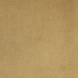 Zavjesa s vezicom za pričvršćivanje od glatkog baršuna 140x270 Antara tamno bež boja