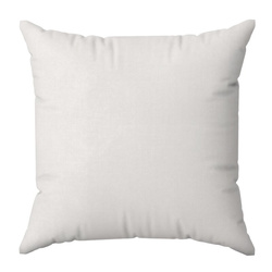 DIVA LINE jastučnica 40x40 jednobojna od glatkog pamučnog satena Dina