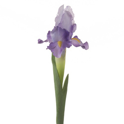 Ukrasni cvijet tulipana od nježne i svilenkaste tkanine 330 70 cm ljubičasti