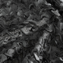 EVA MINGE gotova zavjesa 135x250 izrađena od šifona ukrašena moher koncem i suptilnim volanima TIFFANY 