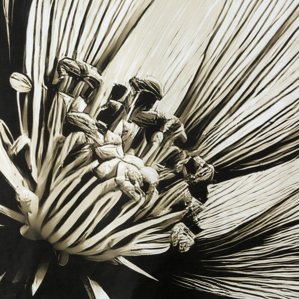 Posteljina 140x200 cm od pamučnog satena s cvjetnim uzorkom SPRING