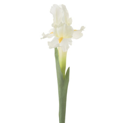 Ukrasni cvijet tulipana od nježne i svilenkaste tkanine 330 70 cm krem