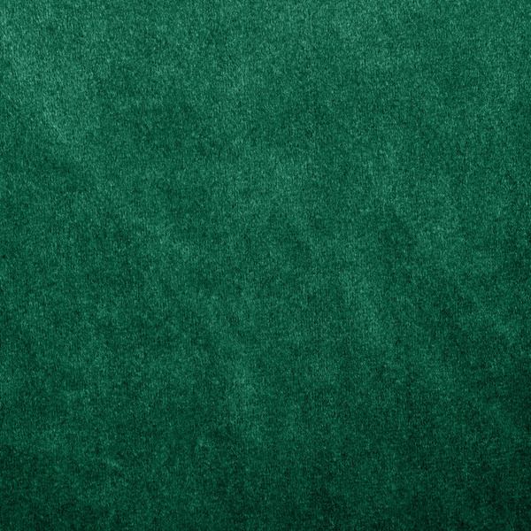 Baršunasta zavjesa ukrašena dubokim naborima i gumbima 85x250 cm (dimenzije zavjese dane nakon sklapanja) zavjesa s tregerima - ALITA