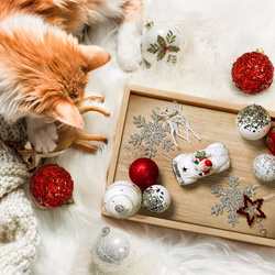 Kugla za božićno drvce prekrasno ukrašena ∅ 10cm